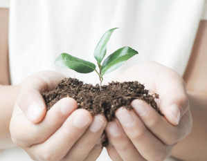 函館漢方テラが大切にしていること